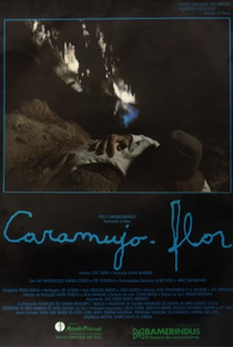 Caramujo-Flor - Poster / Capa / Cartaz - Oficial 1