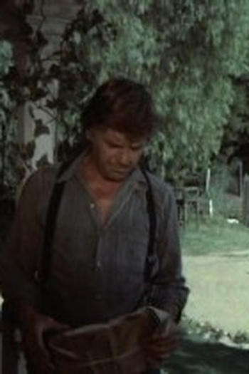 Poster de Episódio The Theft (1973)