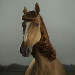 Foto de perfil de Paulo Guerrah