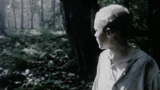 Trailer: Trailer: "Muukalainen" (2009) AKA "The Visitor"