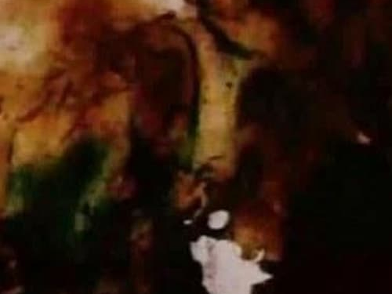 Foto 1 de Persian Series #5