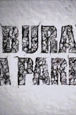 O Buraco Na Parede (O Buraco Na Parede)