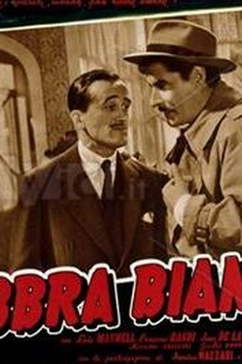 Poster de Filme Mercado Infame (1951)