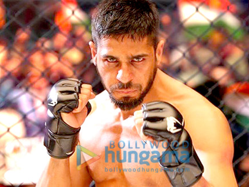 Foto 7 de Irmãos no Ringue