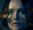 Clarice