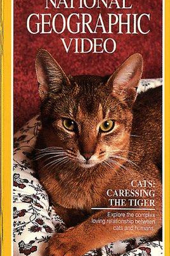  de Filme Gatos – Acariciando o Tigre (1991)