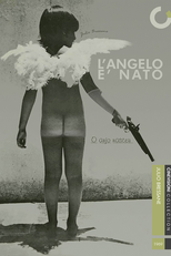 O Anjo Nasceu (O Anjo Nasceu)