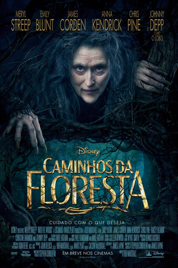  de Filme Caminhos da Floresta (2014)