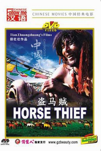 O Ladrão de Cavalos - Poster / Capa / Cartaz - Oficial 2