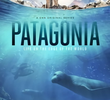 Patagônia Extraordinária