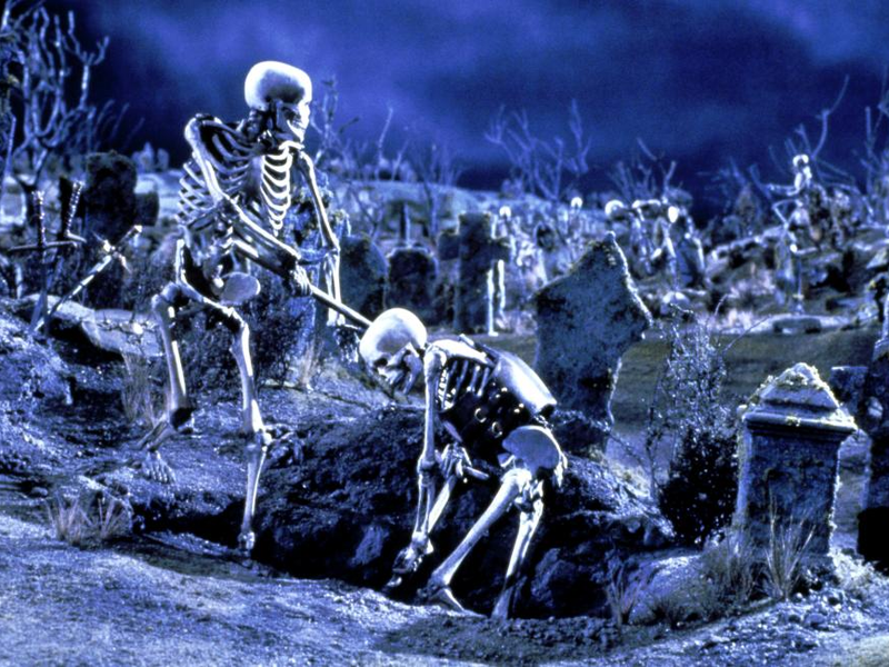 Foto 29 de Uma Noite Alucinante 3