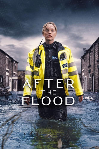 Poster de Franquia After The Flood (2024)