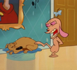 It's a Dog's Life