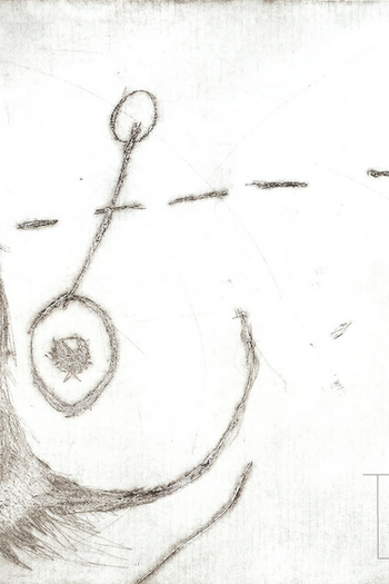 Poster de Curta Trans*lúcidx (2013)