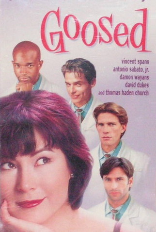 Poster 1 de Filme Enganchados (1999)