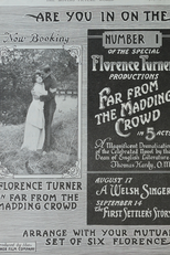 Longe Deste Insensato Mundo (Far From the Madding Crowd)