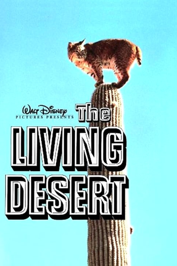  de Filme O Drama do Deserto (1953)