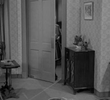 Aunt Bee the Warden