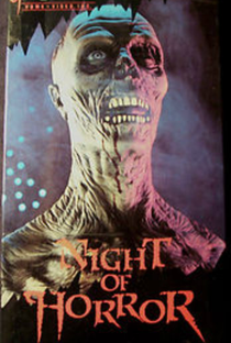 A Noite de Horror - Poster / Capa / Cartaz - Oficial 1