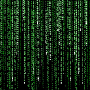 Foto de perfil de Matheus