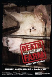 Morte em uma Fazenda-fábrica - Poster / Capa / Cartaz - Oficial 1