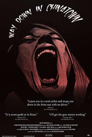 Poster 1 de Filme Way Down in Chinatown (2014)