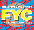Fine Young Canibals: She Drives Me Crazy