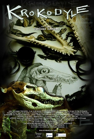 Poster 1 de Filme Krokodyle (2010)
