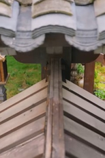 	第十六集 (	第十六集)