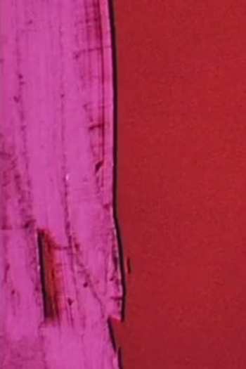 Poster de Curta Angular Momentum (1973)