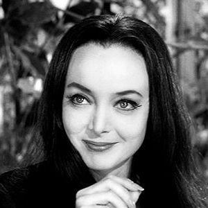 Foto de perfil de lain