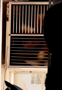 Obrigado por Guardar os Pesos (Obrigado por Guardar os Pesos)