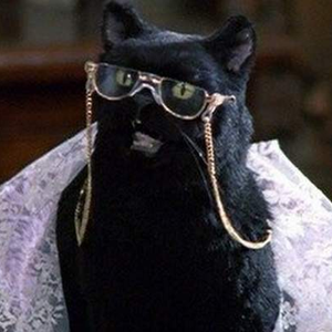 Foto de perfil de Rocker