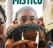 Brasil Místico
