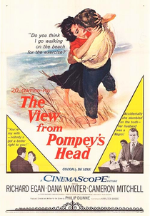 O Que o Amor nos Negou (The View from Pompey's Head)