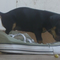 Foto de Katianna