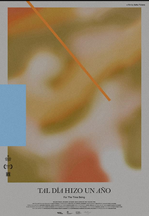 FOR THE TIME BEING (Tal día hizo un año)