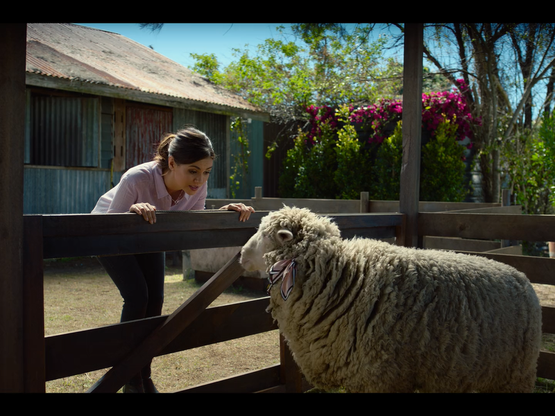 Foto 24 de Combinação Perfeita