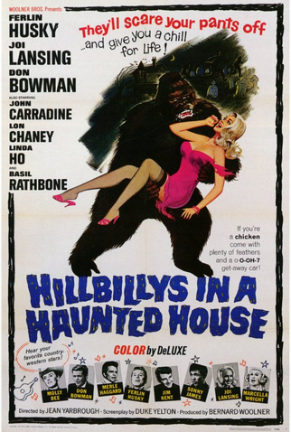 Poster 1 de Filme Um Biruta na Casa do Espanto (1967)