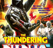 The Thundering Ninja