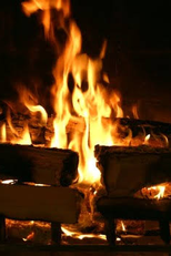 Lareira Crepitante (Lareira para sua casa)