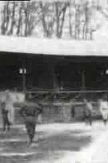 The Ball Game (The Ball Game)