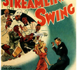 Streamlined Swing