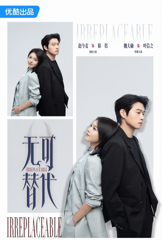 Poster 1 de Série Irreplaceable (2025)