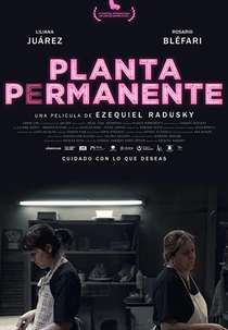 Planta Permanente (Planta Permanente)