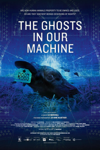 Poster de Filme The Ghosts in Our Machine (2013)