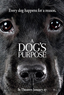 Quatro Vidas de Um Cachorro - Poster / Capa / Cartaz - Oficial 5