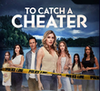To Catch a Cheater