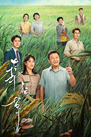Poster de Franquia 幸福草 (2024)