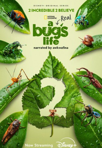 Uma Verdadeira Vida de Inseto (2ª Temporada) (A Real Bug's Life (Season 2))